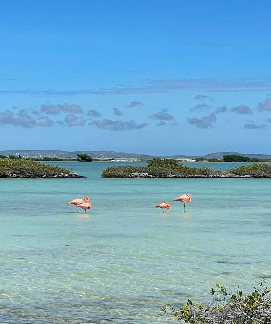 Bonaire Map (NL.vers.)