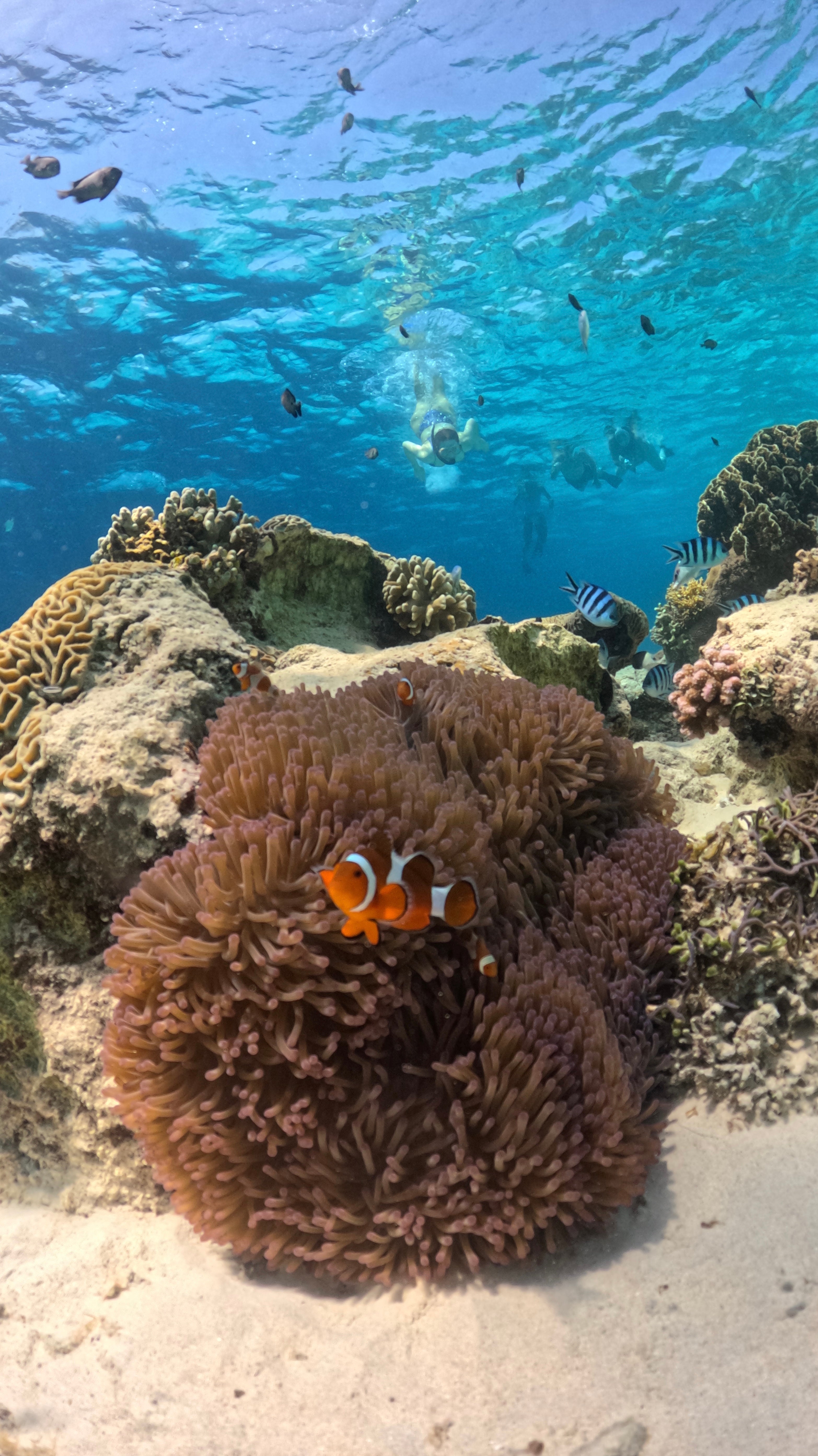 Bali, Nusa Penida & Gili Trawangan Map (ENG.vers)