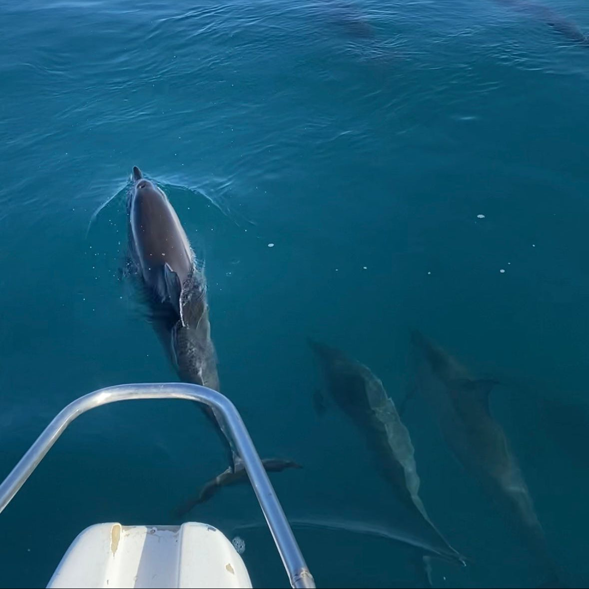 Mauritius Map (ENG.vers)