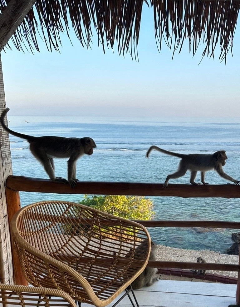 Bali, Nusa Penida & Gili Trawangan Map (ENG.vers)