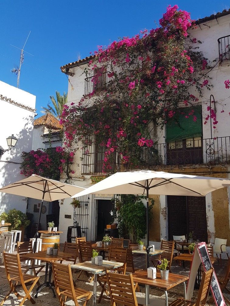 Marbella Map (NL.vers)