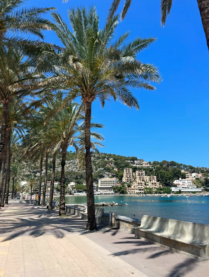 Mallorca Map (DE.vers.)